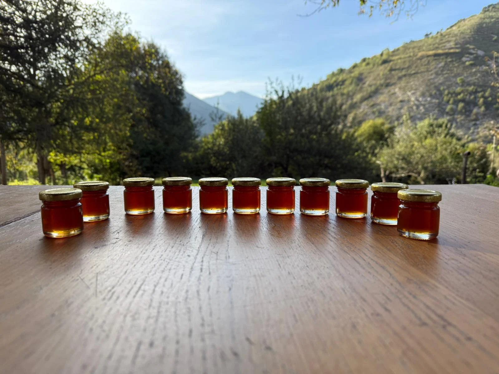 Miele di bosco di montagna